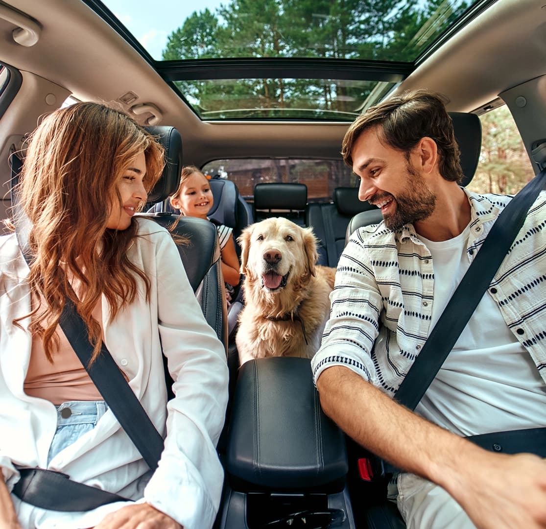 Happy family with a dog enjoying a road trip in an SUV, all wearing seatbelts