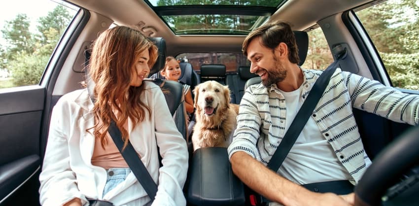 Family and golden retriever enjoying a car ride together, all smiling and wearing seatbelts
